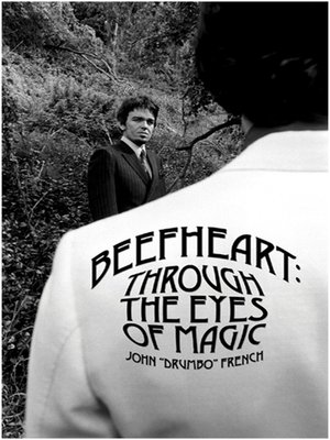 cover image of Beefheart